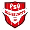 FSV Meuselwitz