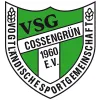 VSG 1960 Cossengrün