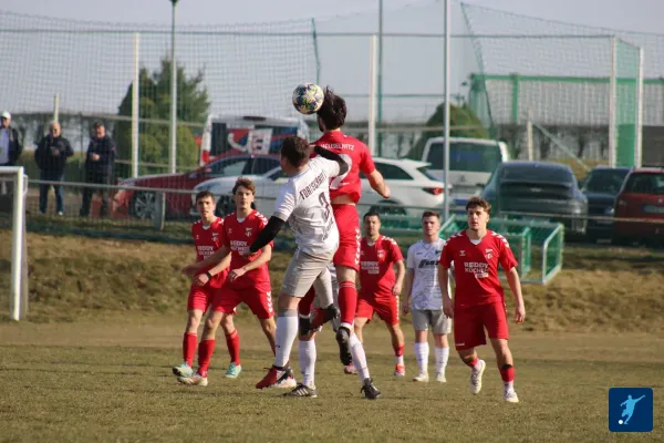 08.03.2025 SV 1924 M`bernsdorf vs. ZFC Meuselwitz II